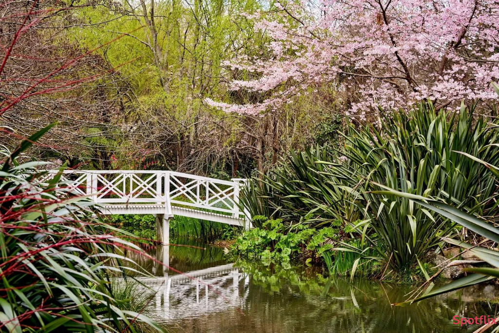 The White Bridge in the Woods of Lothlorien  from The Lord of the Rings: The Fellowship of the Ring