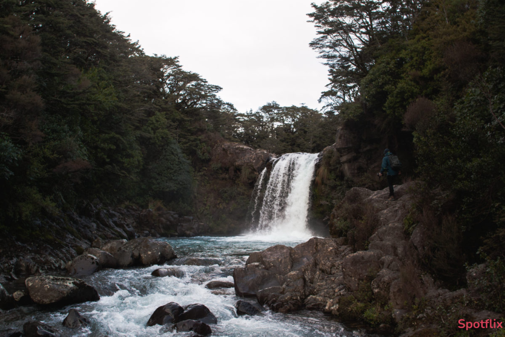The Forbidden Pool or Gollum's Pool from The Lord of the Rings: The Two Towers