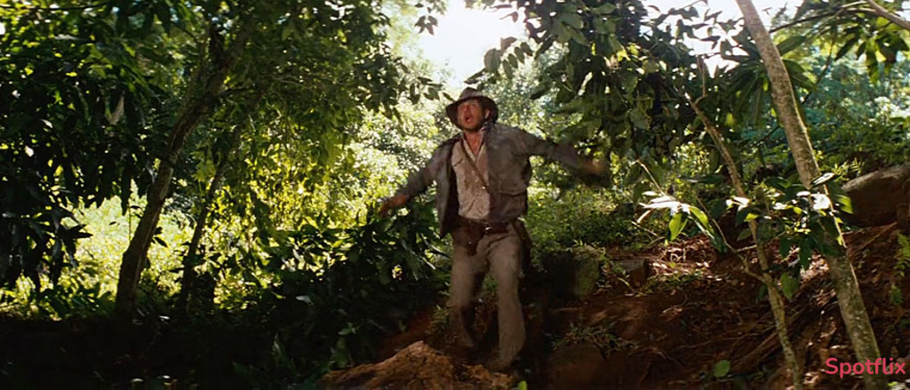 The Peruvian Jungle - Photo 1